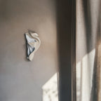 Wall Art - Seashell